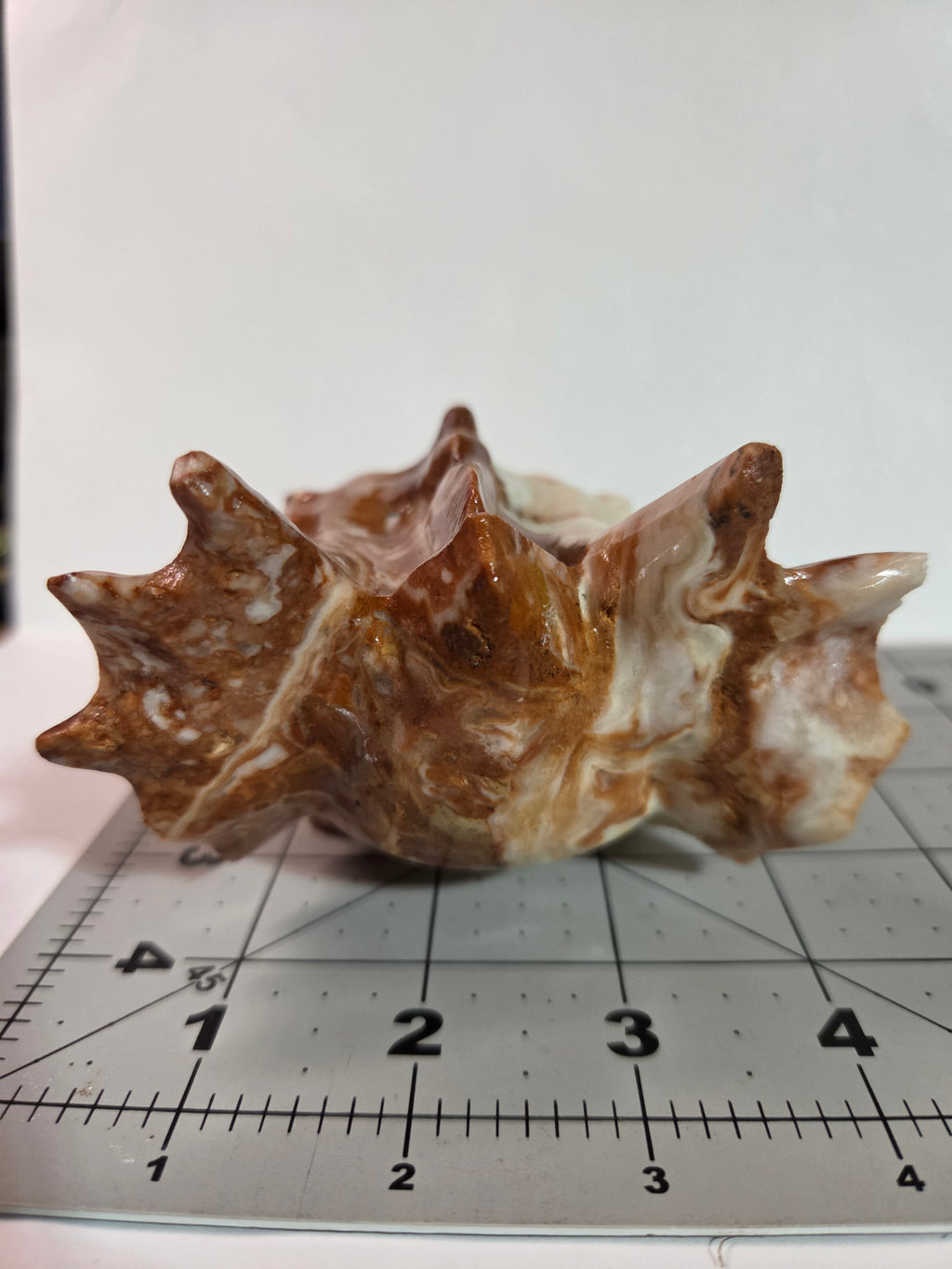 Mexican Lace Agate Dragon Head Carving