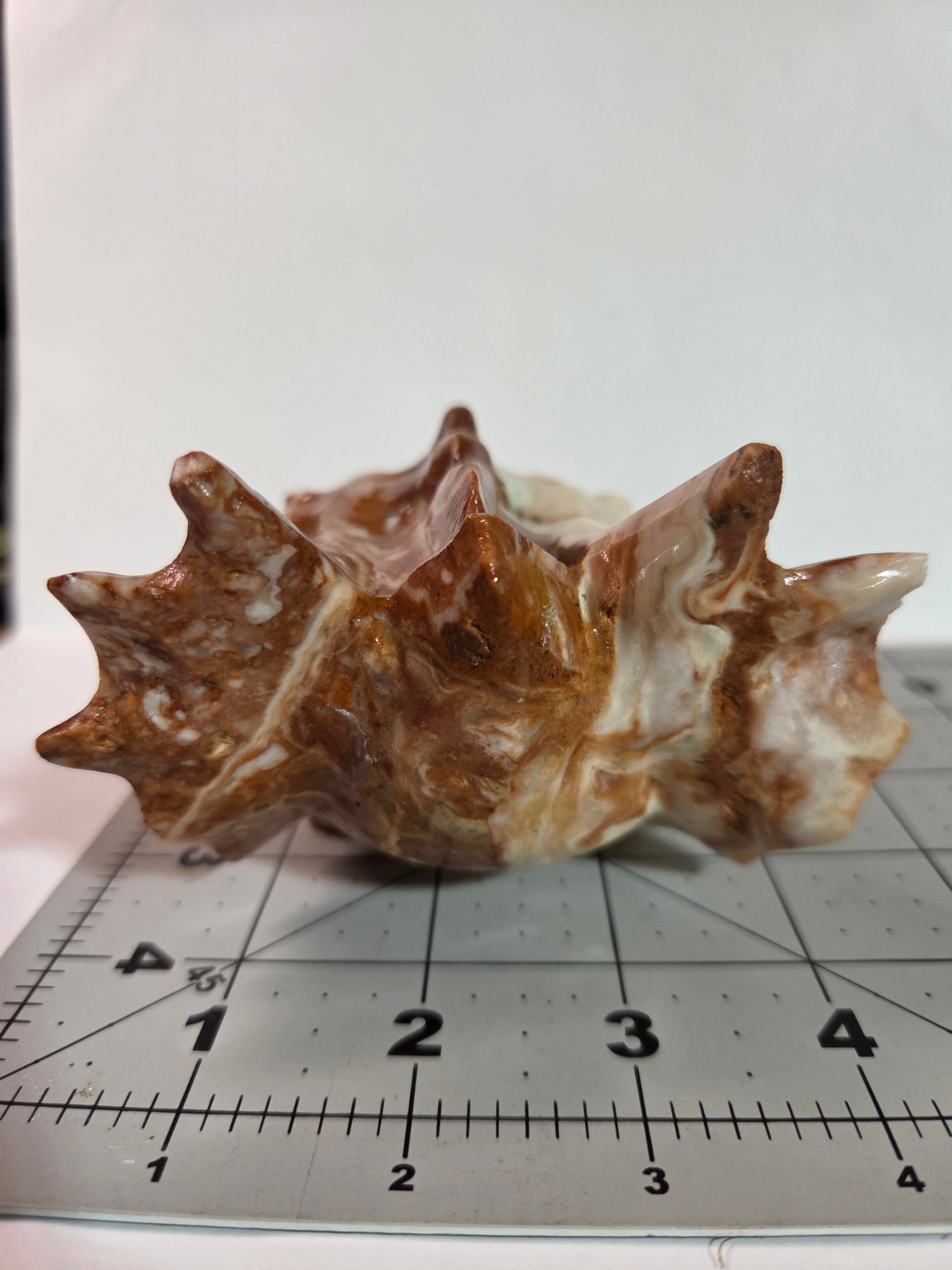 Mexican Lace Agate Dragon Head Carving