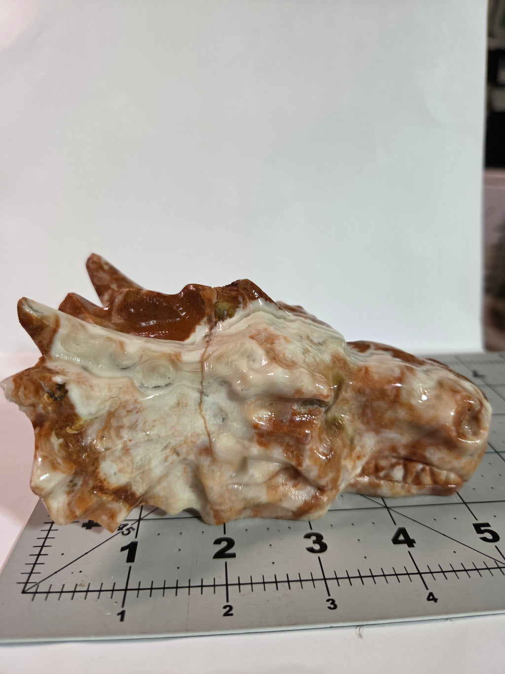 Mexican Lace Agate Dragon Head Carving