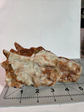 Mexican Lace Agate Dragon Head Carving