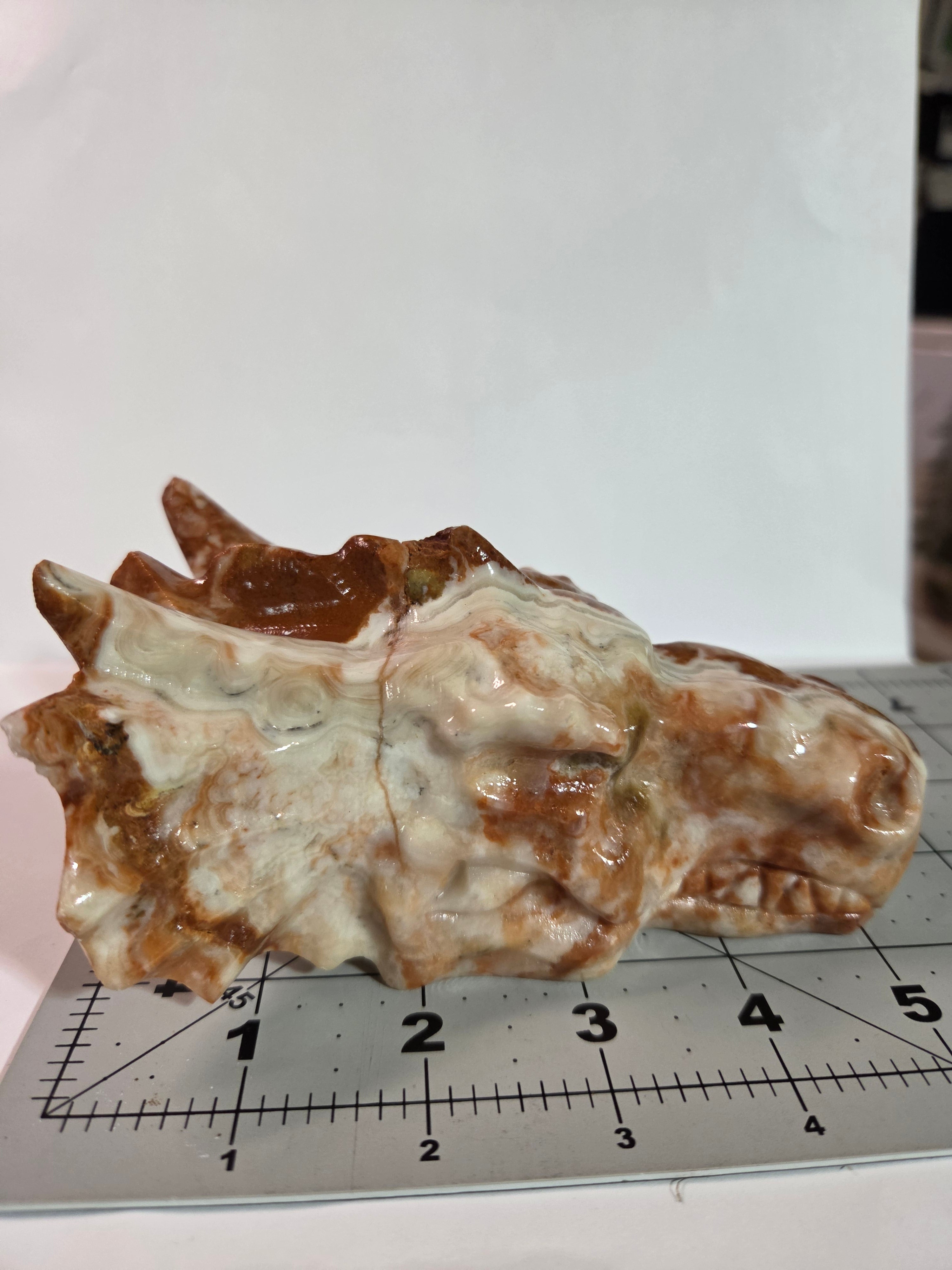 Mexican Lace Agate Dragon Head Carving
