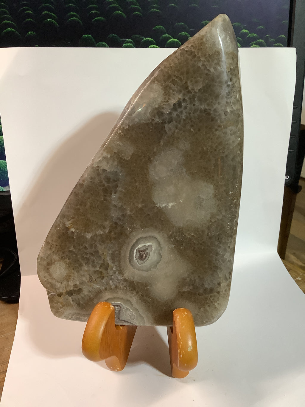 Missouri Hand-Polished Lacy Agate with Agate Eyes - Specimen #8