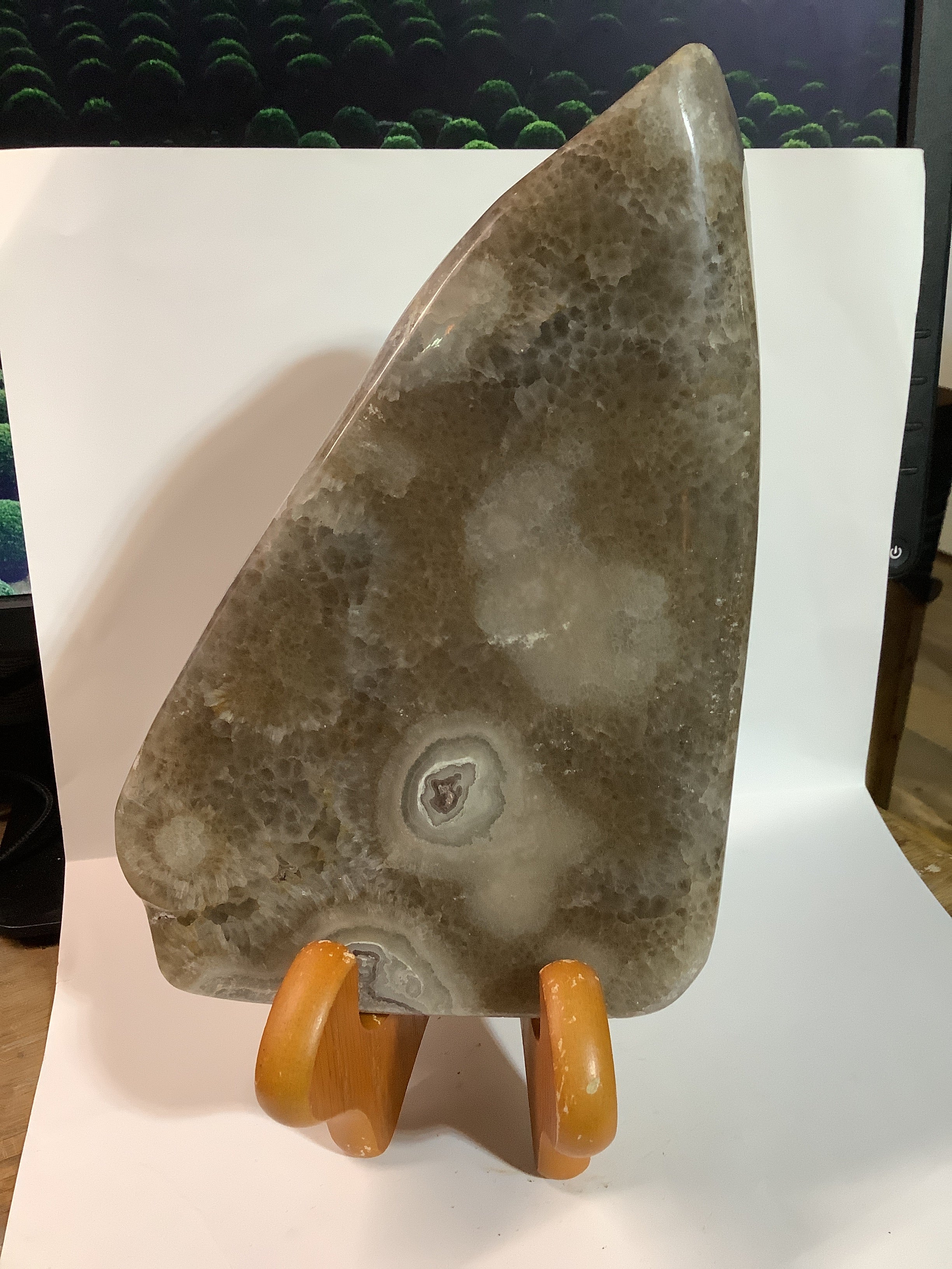 Missouri Hand-Polished Lacy Agate with Agate Eyes - Specimen #8