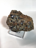Arkansas Smoky Quartz Cluster with Rare Brookite - Specimen #2