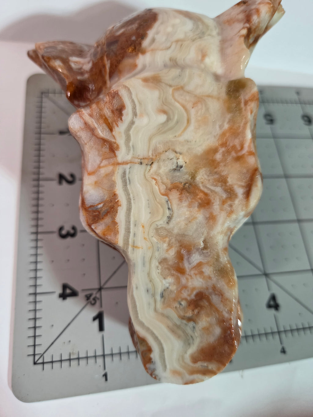 Mexican Lace Agate Dragon Head Carving