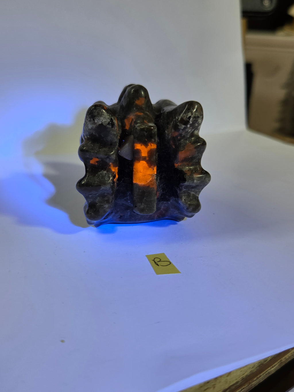 Yooperlite Dragon Head B
