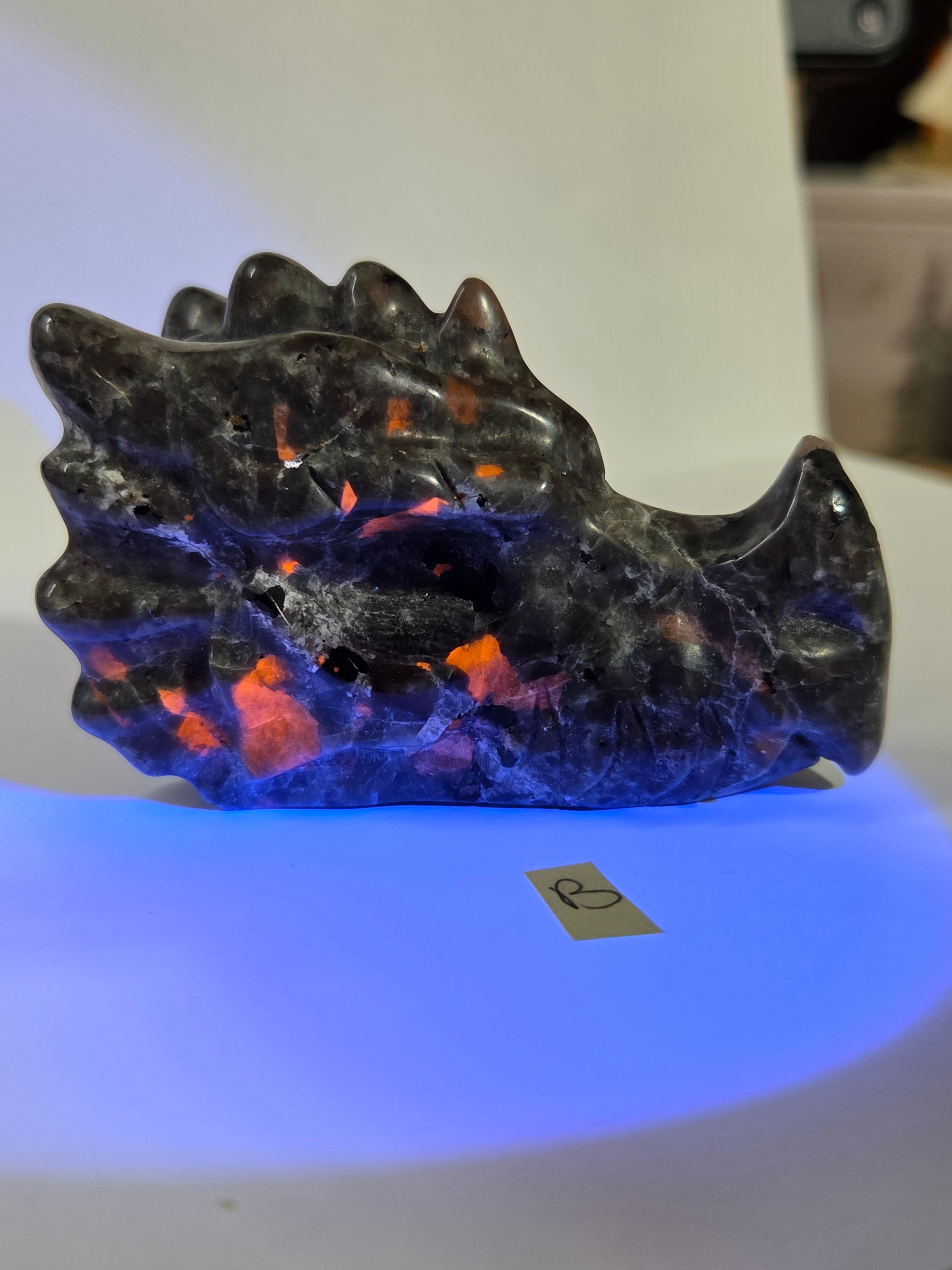 Yooperlite Dragon Head B