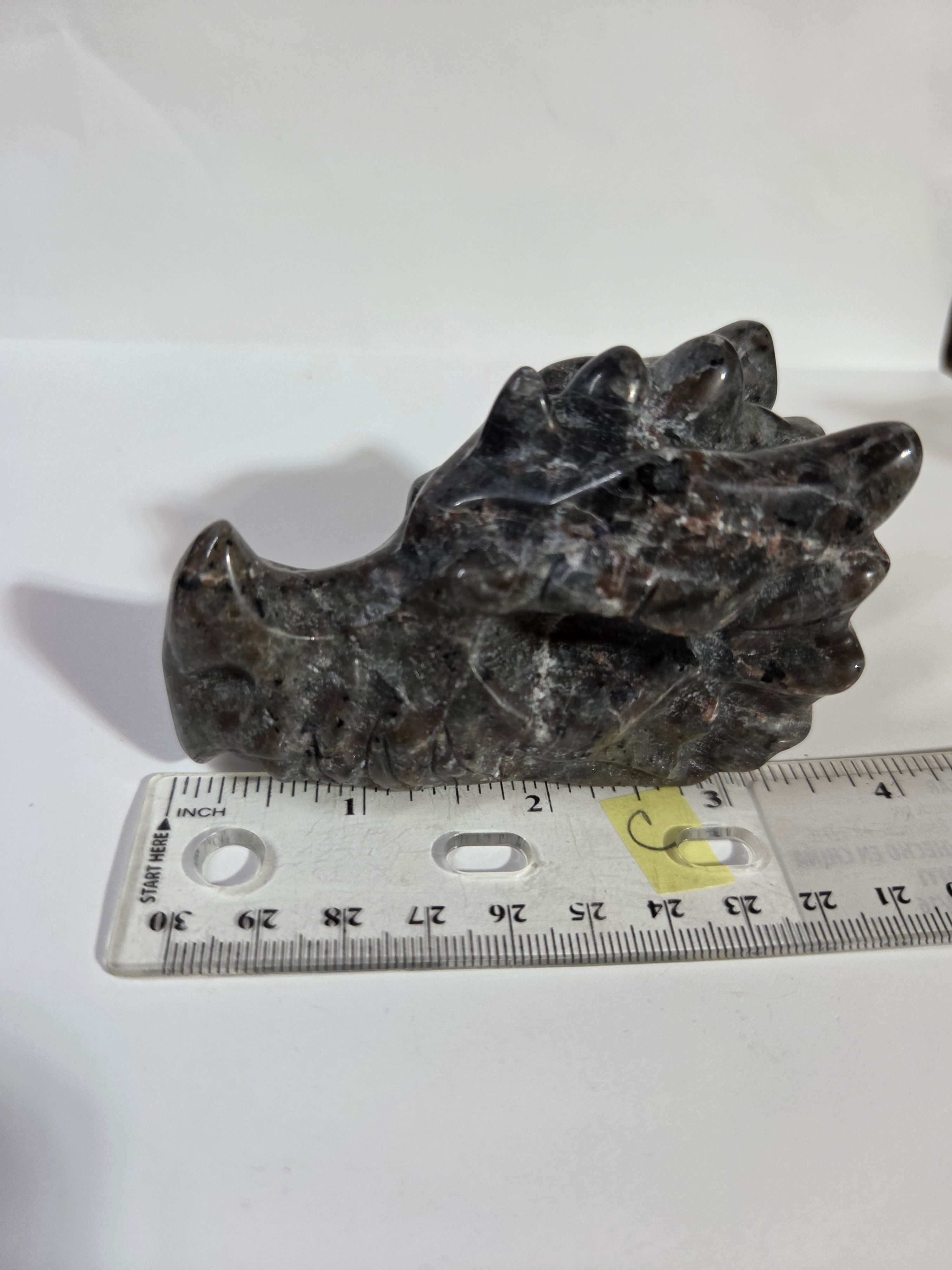 Yooperlite Dragon Head C