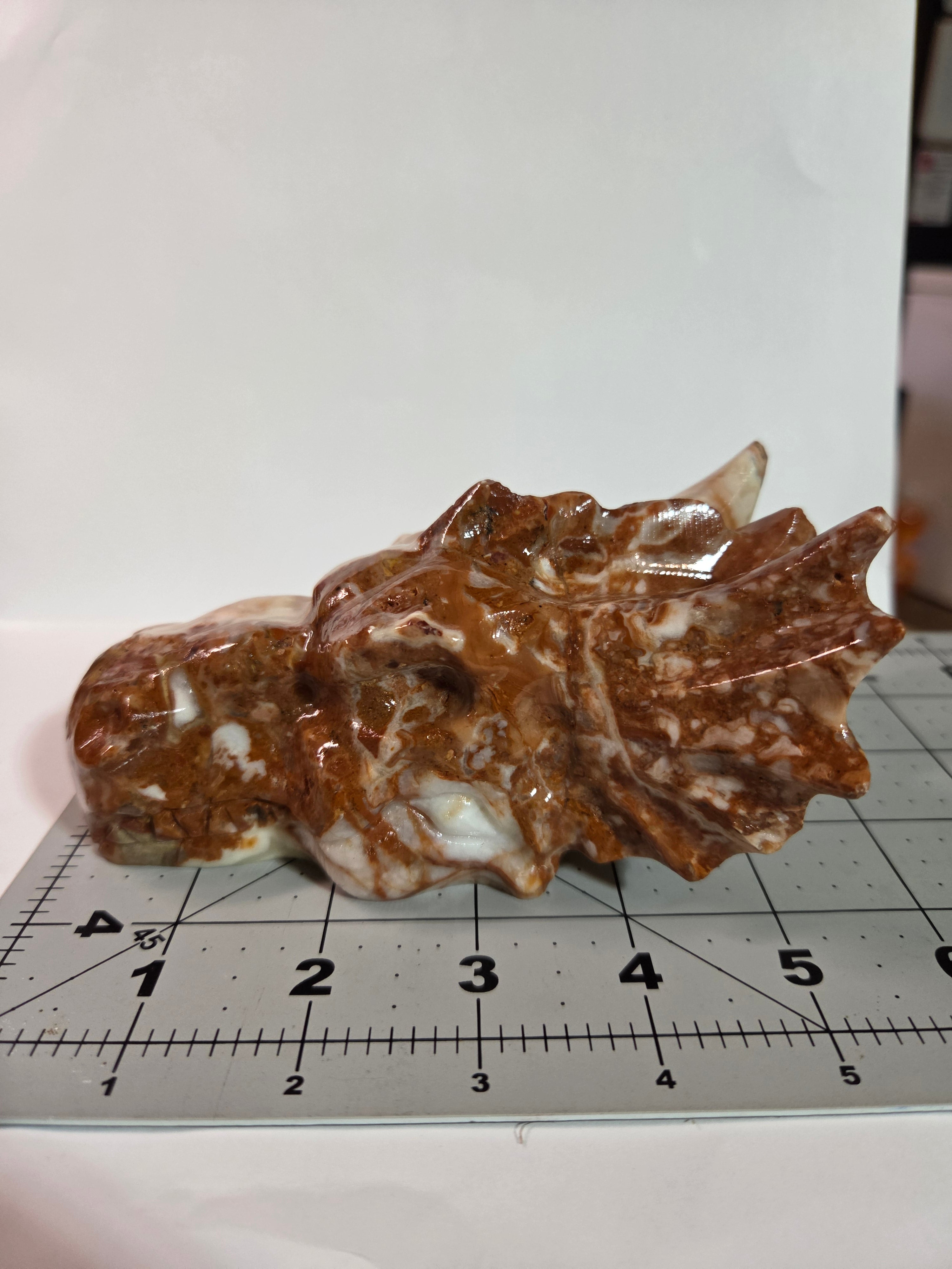 Mexican Lace Agate Dragon Head Carving