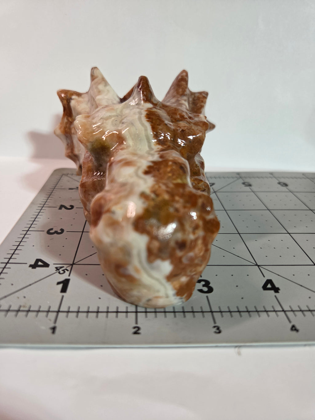 Mexican Lace Agate Dragon Head Carving